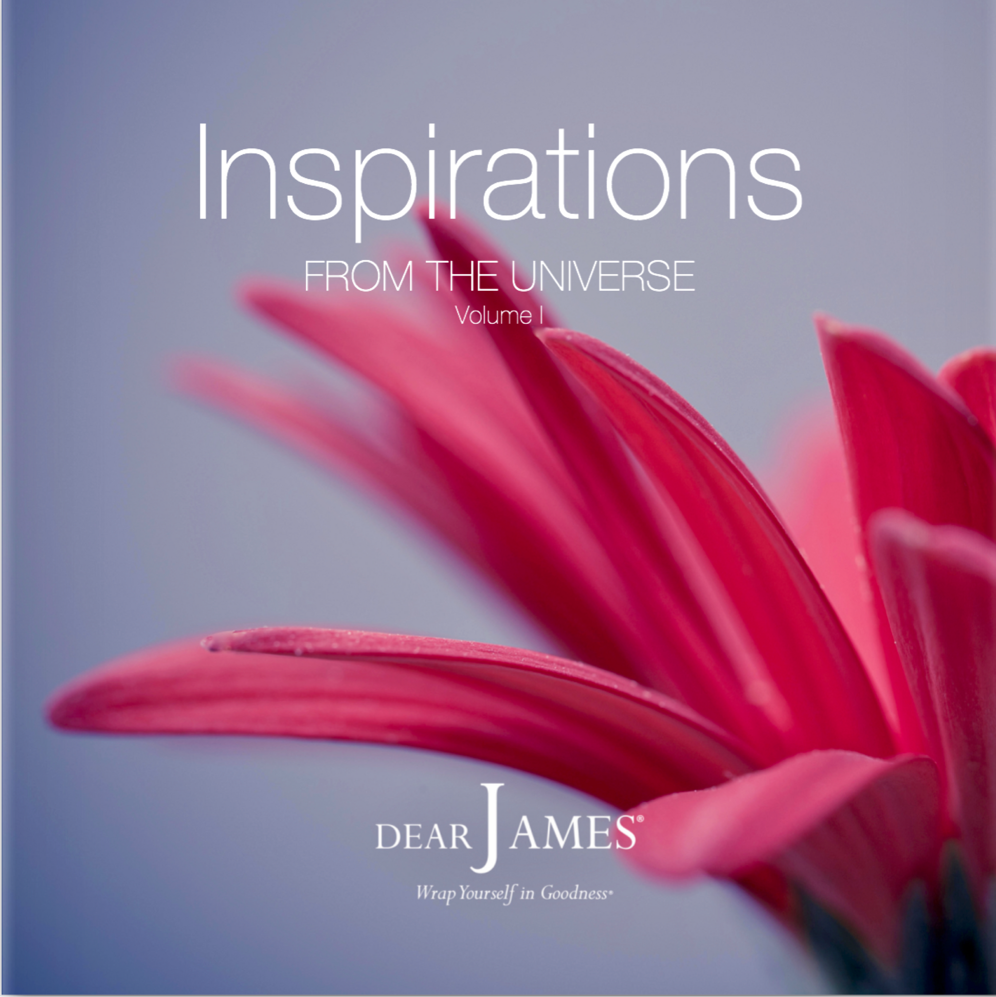 Front Cover - Inspirations from the Universe - Volume I