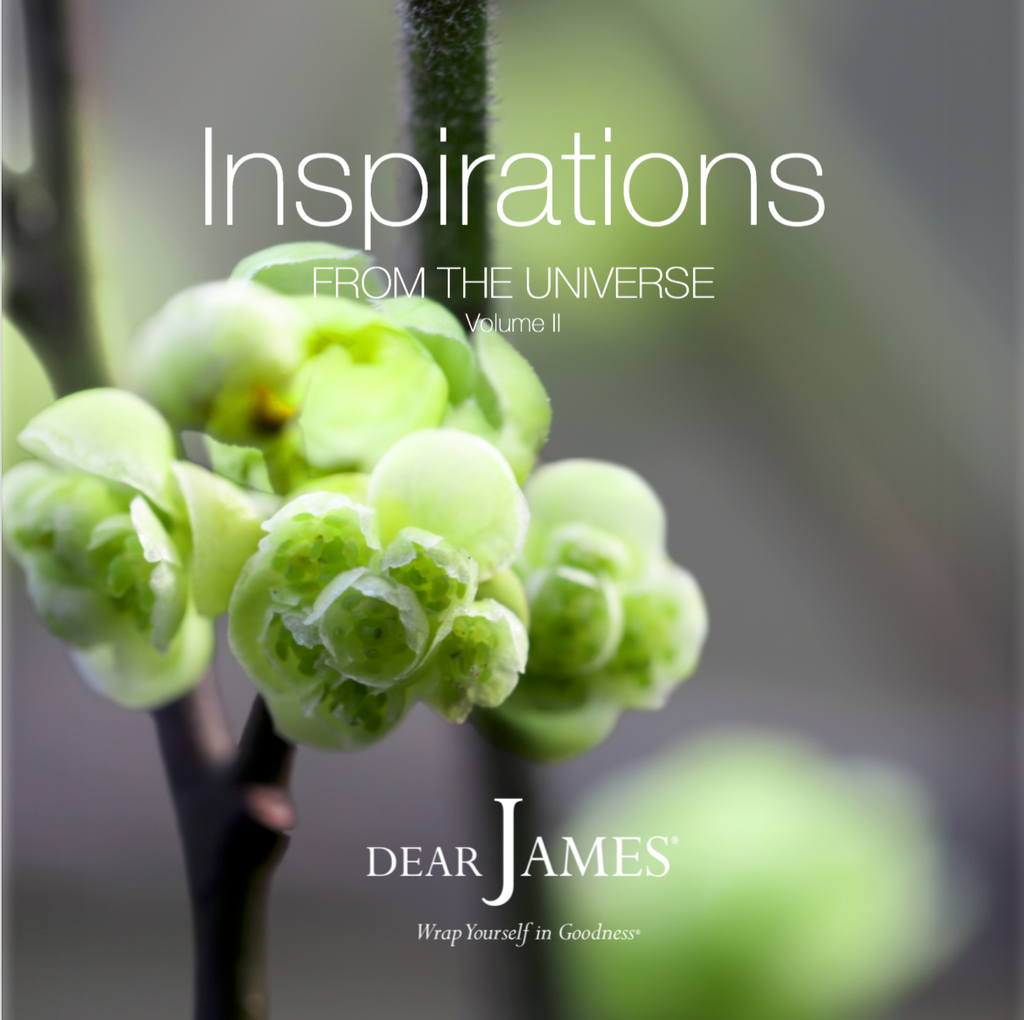 INSPIRATIONS - From The Universe - Volume II