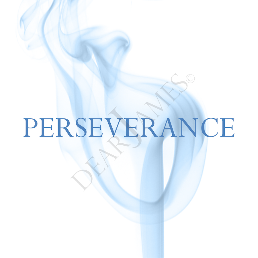 PERSEVERANCE | Inspired Word Creation