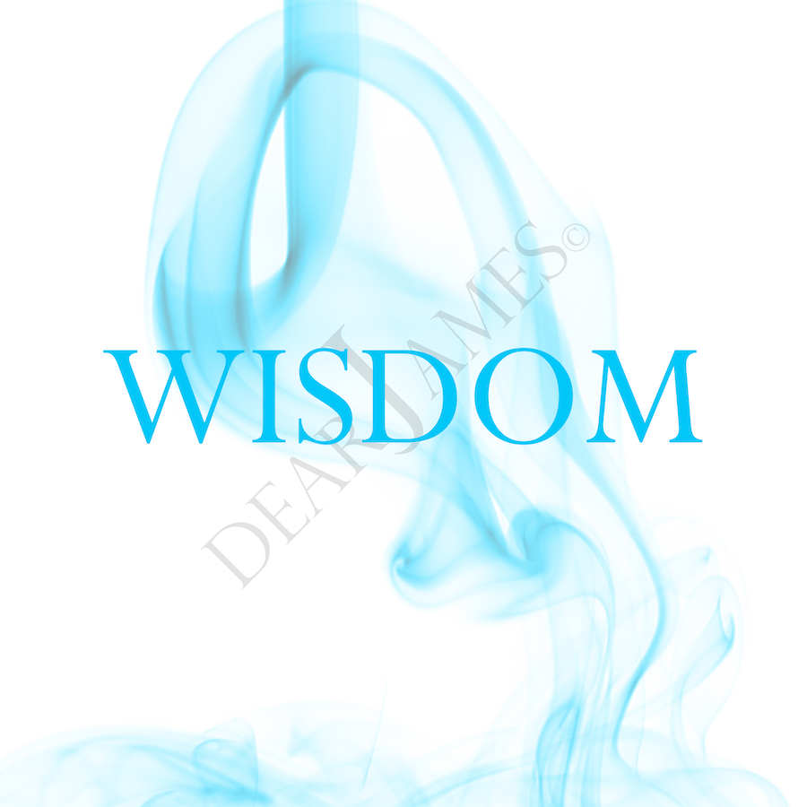 WISDOM | Inspired Word Creation